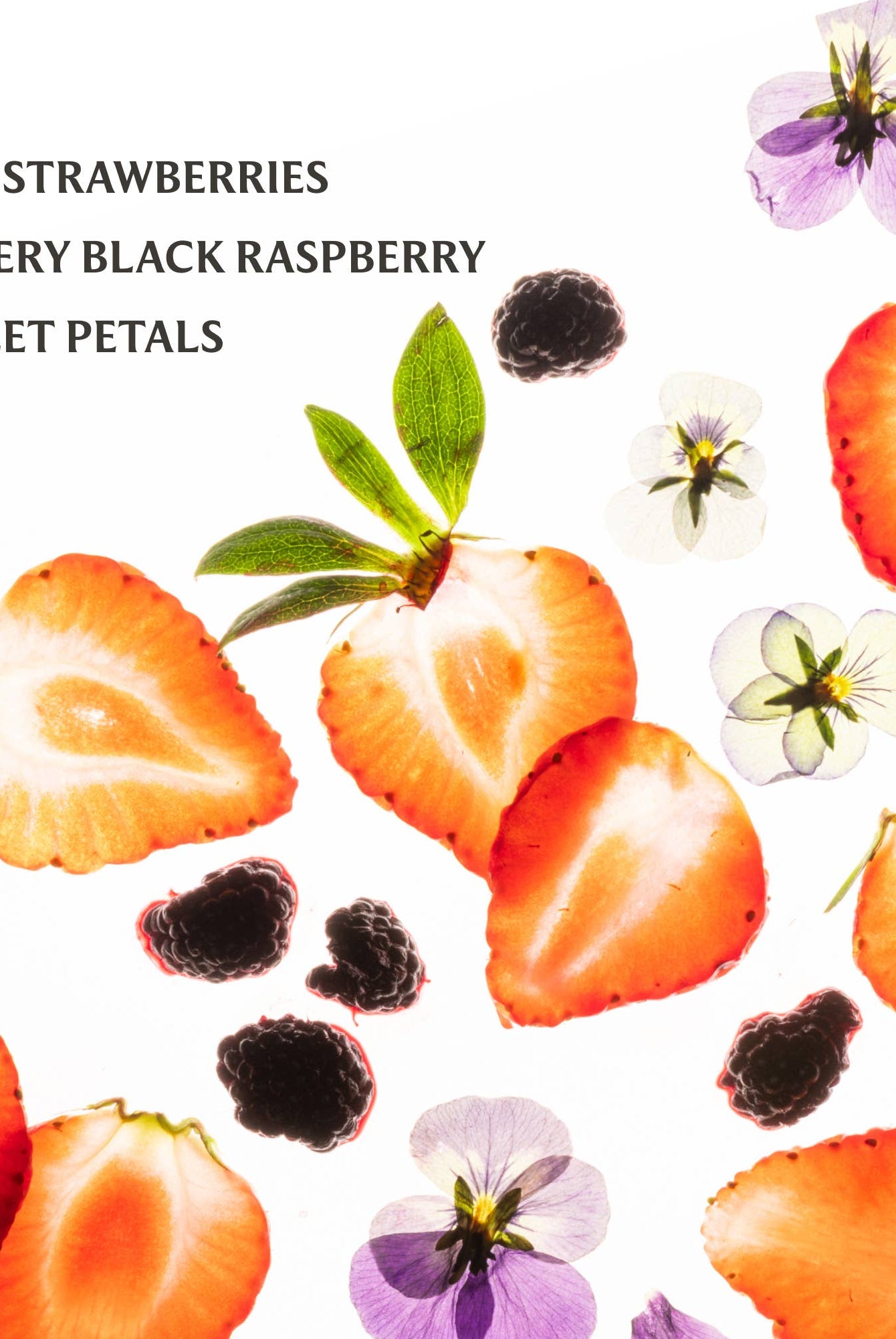 Shop Berry Bliss Power Mist Hydrating Hand Sanitizer- at Ruby Joy Boutique, a Women's Clothing Store in Pickerington, Ohio