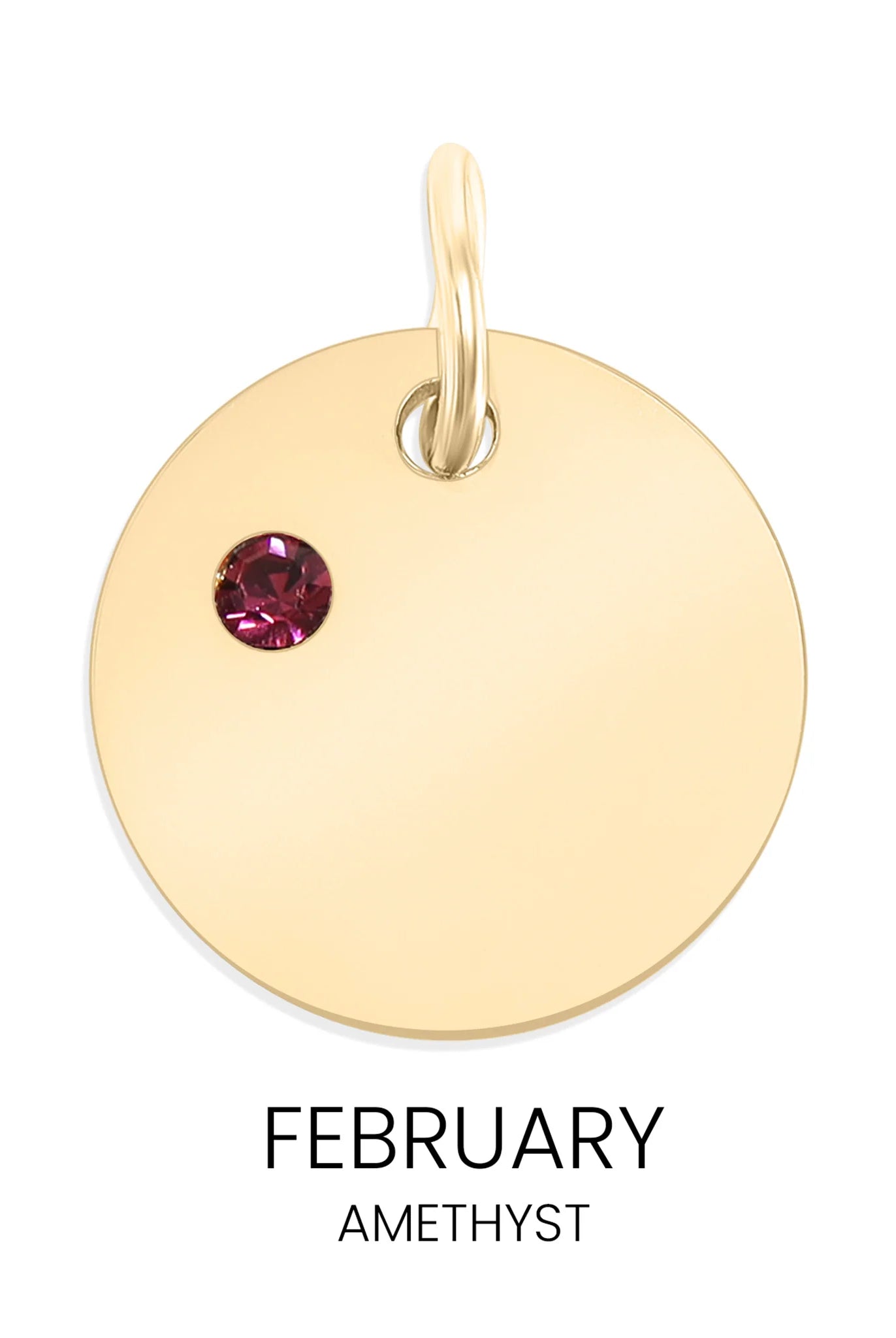 Shop Birthstone Disc Charm-February/Amethyst at Ruby Joy Boutique, a Women's Clothing Store in Pickerington, Ohio