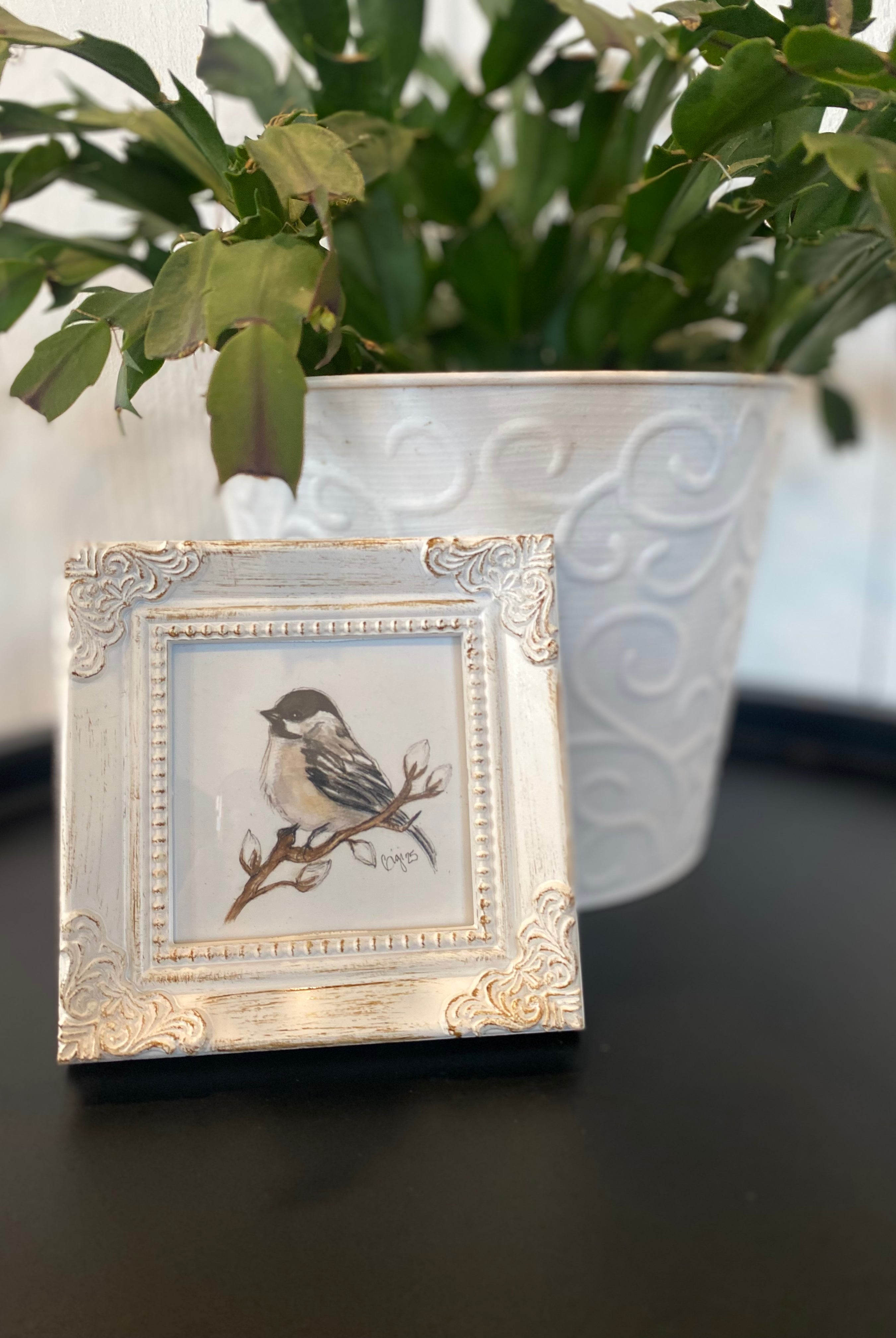 Shop Framed Watercolor Prints-Junco Bird at Ruby Joy Boutique, a Women's Clothing Store in Pickerington, Ohio