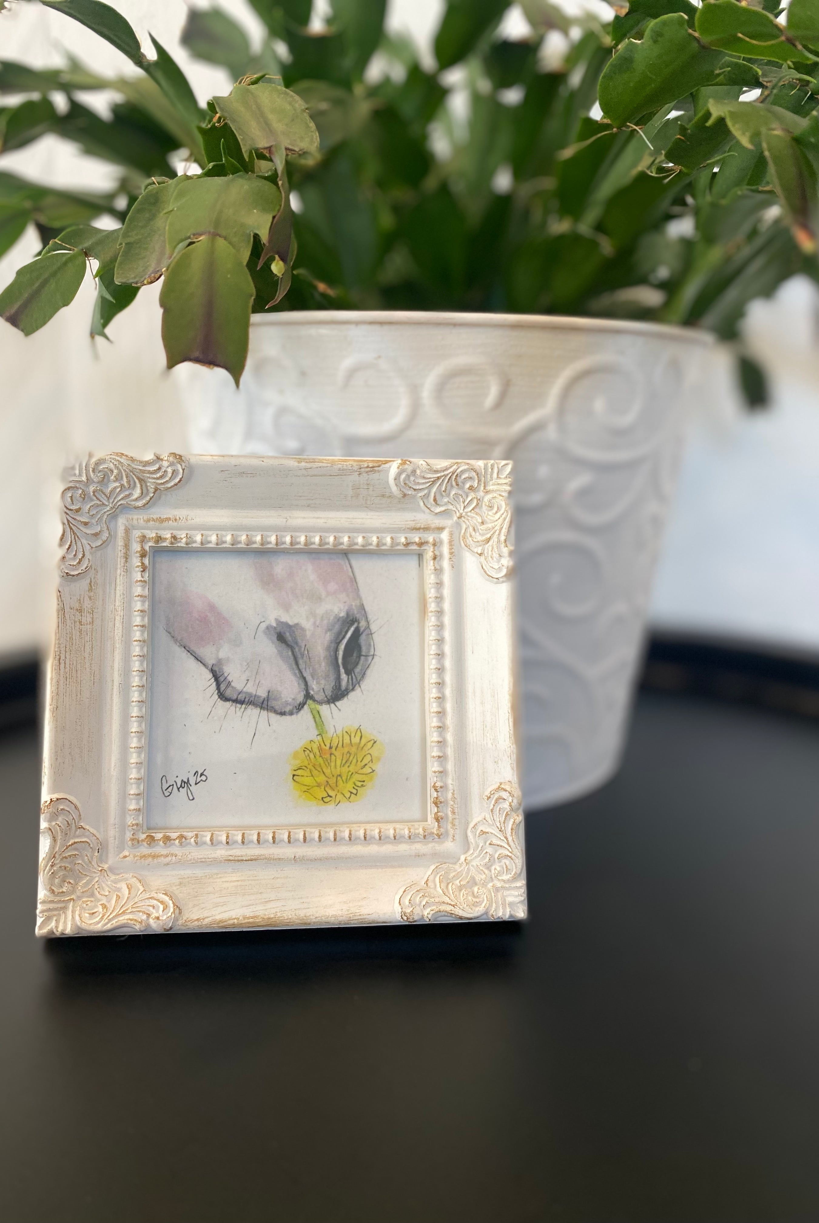 Shop Framed Watercolor Prints-Donkey + Dandelion at Ruby Joy Boutique, a Women's Clothing Store in Pickerington, Ohio