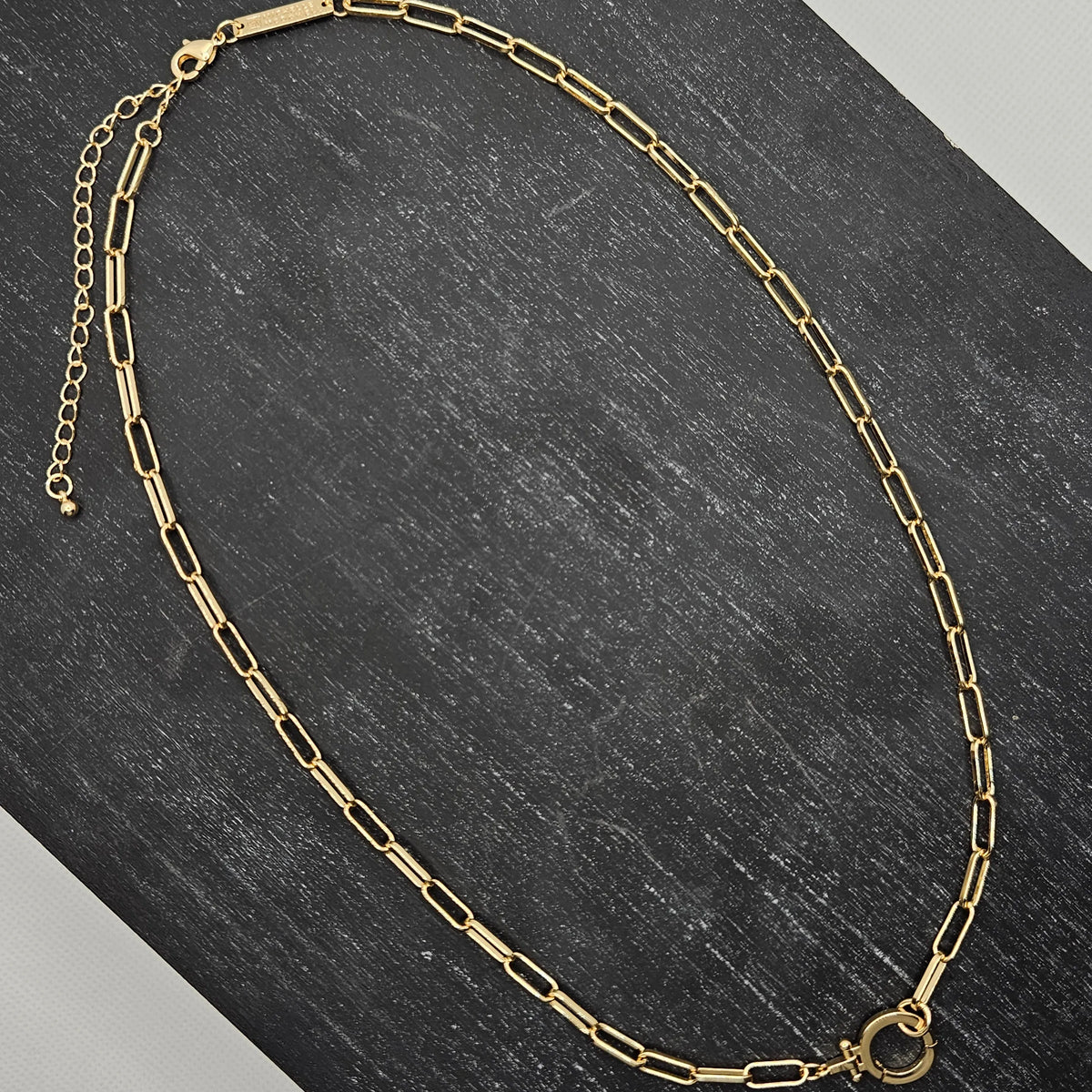Shop Luxe Clasp Charm Necklace- at Ruby Joy Boutique, a Women's Clothing Store in Pickerington, Ohio
