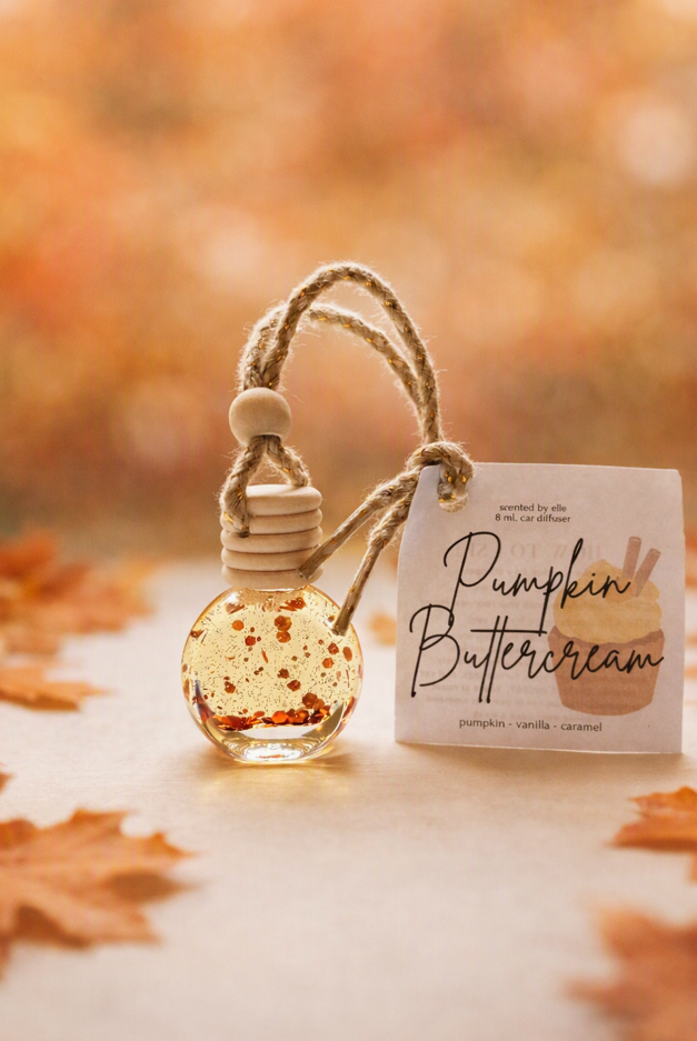 Shop Car Oil Diffusers - Fall- at Ruby Joy Boutique, a Women's Clothing Store in Pickerington, Ohio