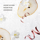 Shop Rainwater Power Mist Hydrating Hand Sanitizer- at Ruby Joy Boutique, a Women's Clothing Store in Pickerington, Ohio
