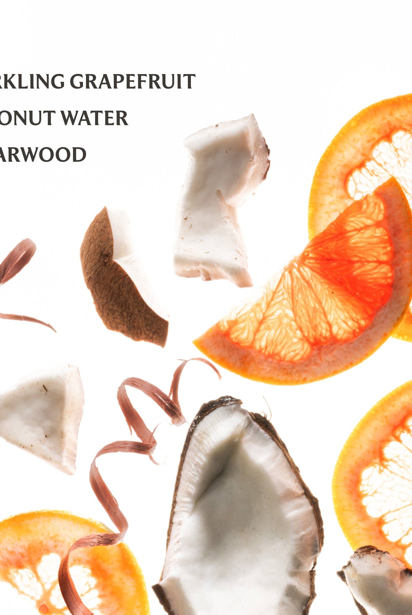 Shop Beach Coco Power Mist Hydrating Hand Sanitizer- at Ruby Joy Boutique, a Women's Clothing Store in Pickerington, Ohio