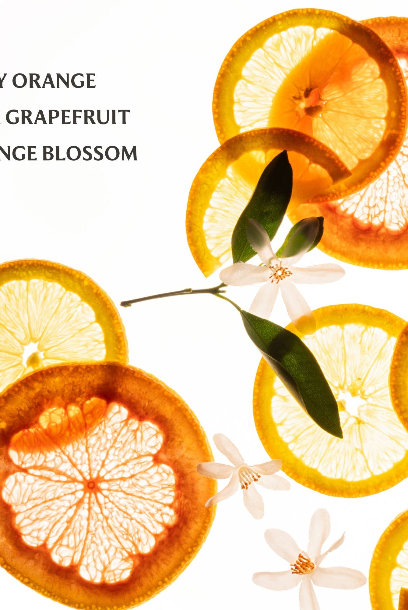 Shop Citrus Grove Power Mist Hydrating Hand Sanitizer- at Ruby Joy Boutique, a Women's Clothing Store in Pickerington, Ohio