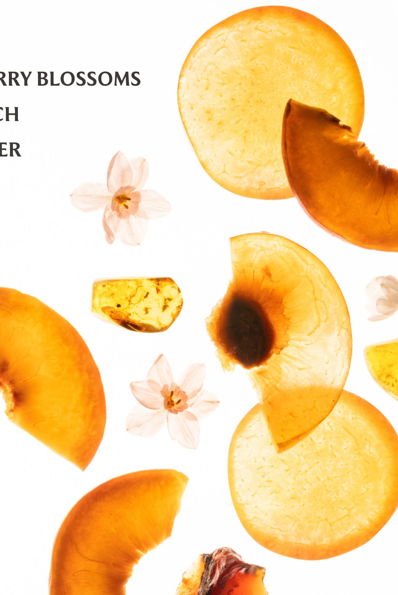 Shop Touchland Power Mist Hydrating Hand Sanitizer | Velvet Peach- at Ruby Joy Boutique, a Women's Clothing Store in Pickerington, Ohio