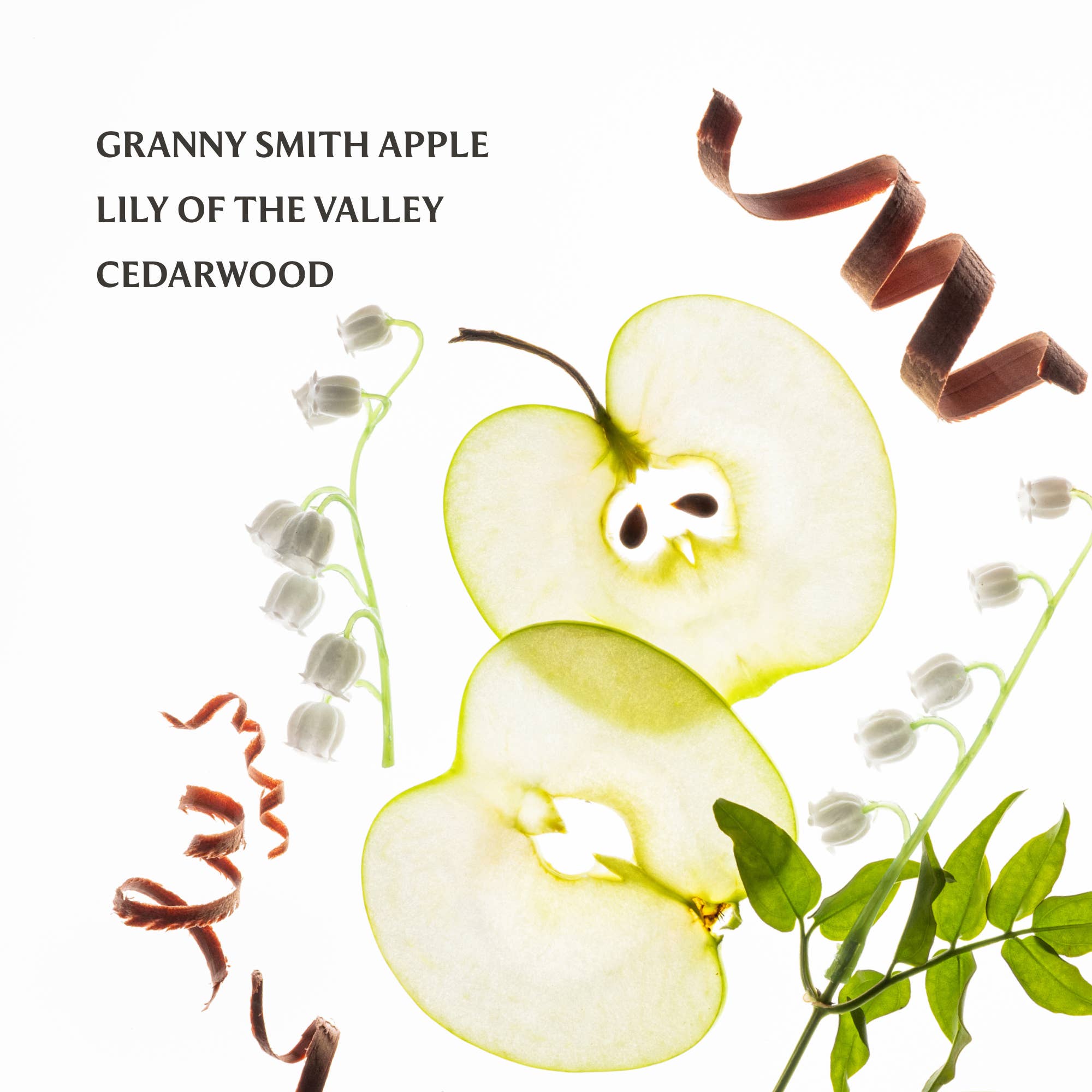 Shop Applelicious Power Mist Hydrating Hand Sanitizer- at Ruby Joy Boutique, a Women's Clothing Store in Pickerington, Ohio