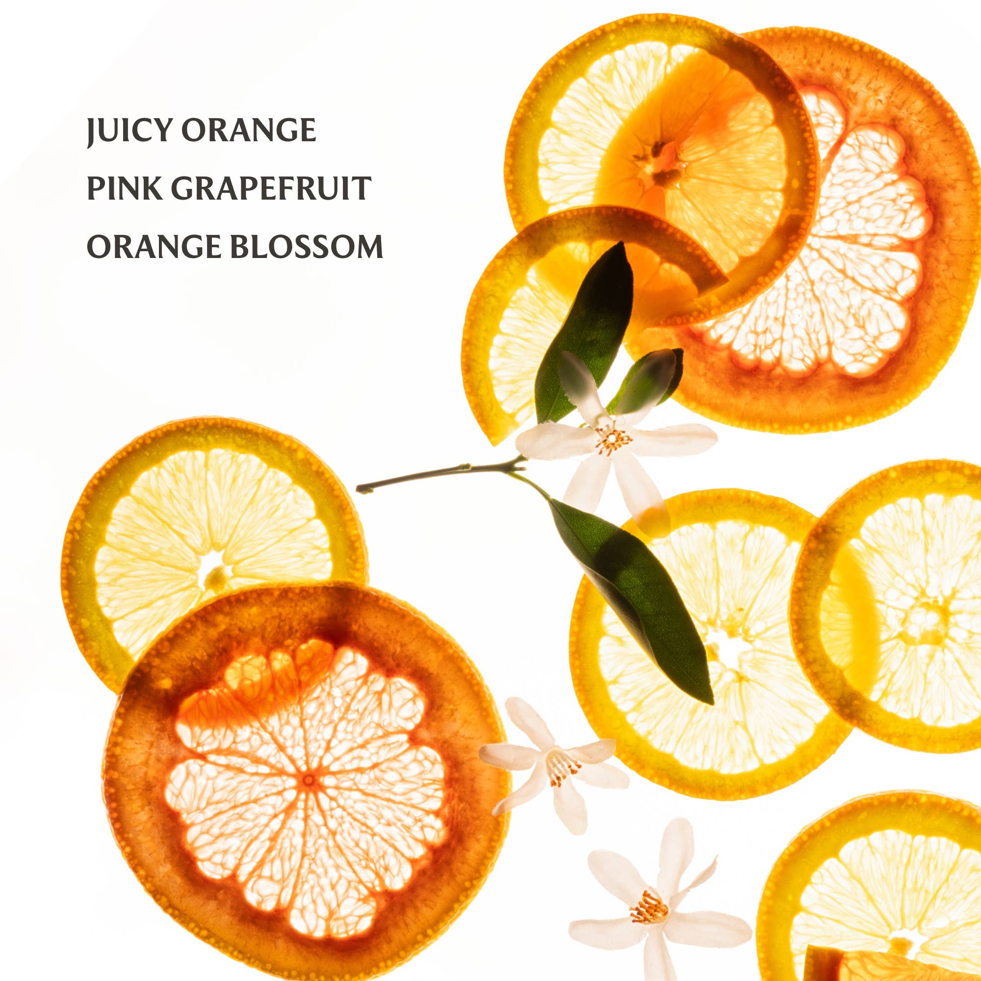 Shop Citrus Grove Power Mist Hydrating Hand Sanitizer- at Ruby Joy Boutique, a Women's Clothing Store in Pickerington, Ohio