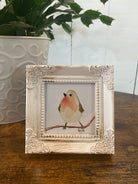 Shop Framed Watercolor Prints-Peach Bird at Ruby Joy Boutique, a Women's Clothing Store in Pickerington, Ohio