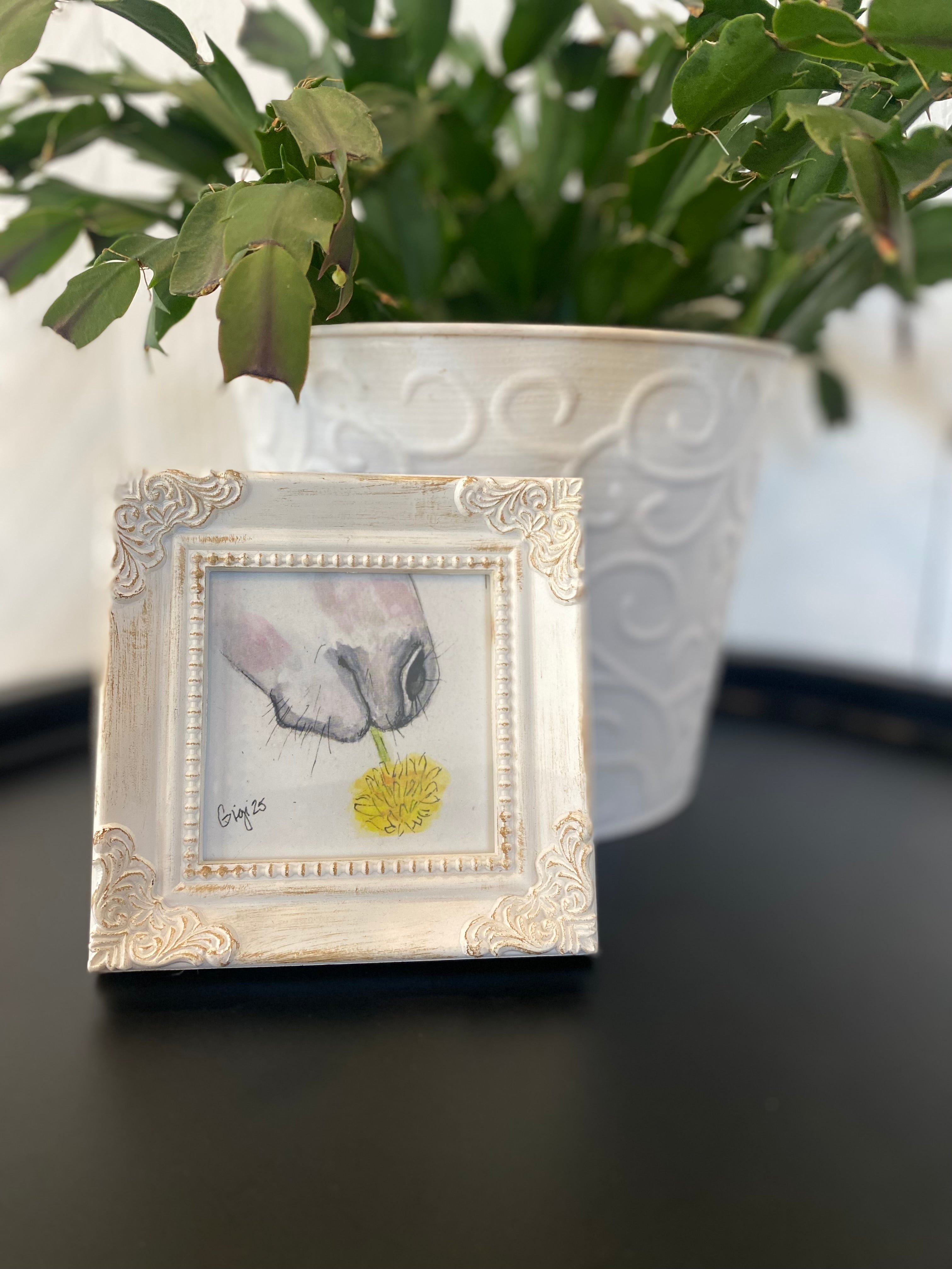 Shop Framed Watercolor Prints-Donkey + Dandelion at Ruby Joy Boutique, a Women's Clothing Store in Pickerington, Ohio