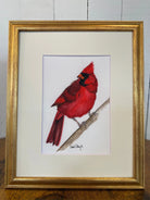 Shop Original Watercolor Prints-Ohio Cardinal at Ruby Joy Boutique, a Women's Clothing Store in Pickerington, Ohio