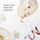 Shop Rainwater Power Mist Hydrating Hand Sanitizer- at Ruby Joy Boutique, a Women's Clothing Store in Pickerington, Ohio