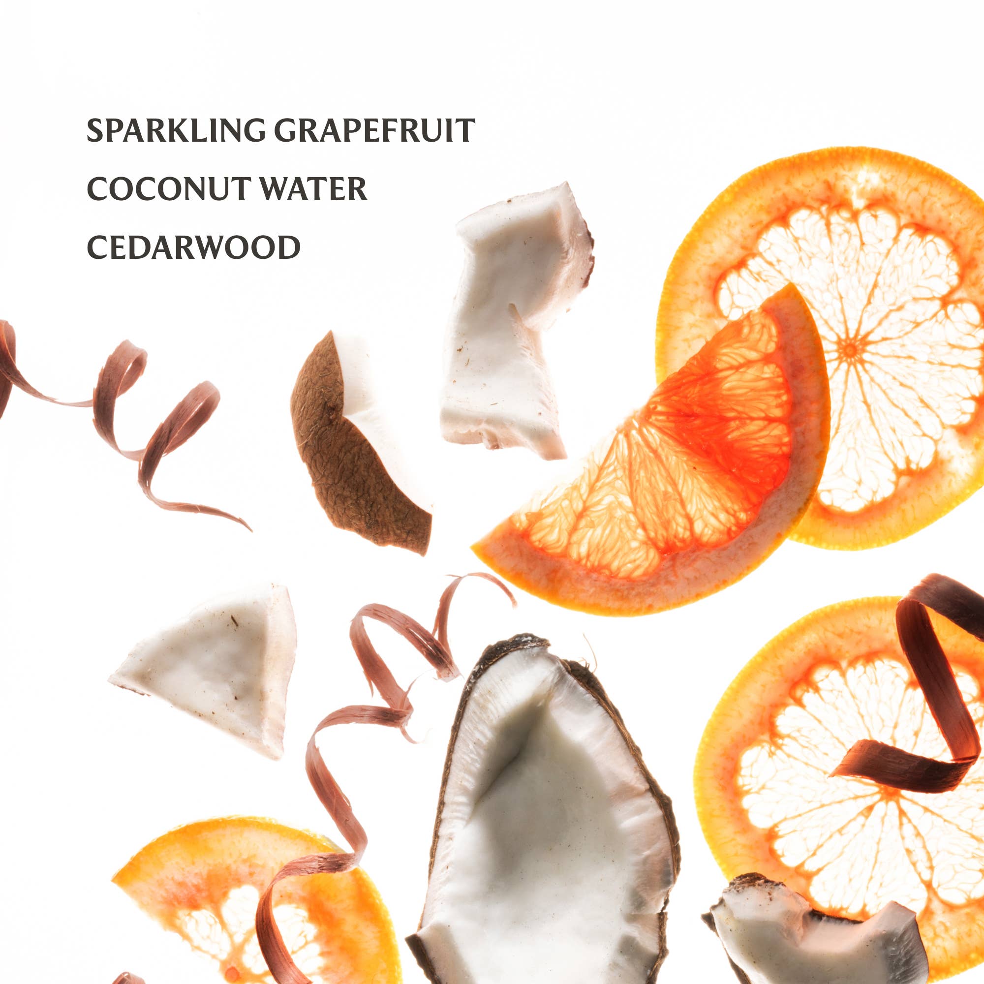 Shop Beach Coco Power Mist Hydrating Hand Sanitizer- at Ruby Joy Boutique, a Women's Clothing Store in Pickerington, Ohio