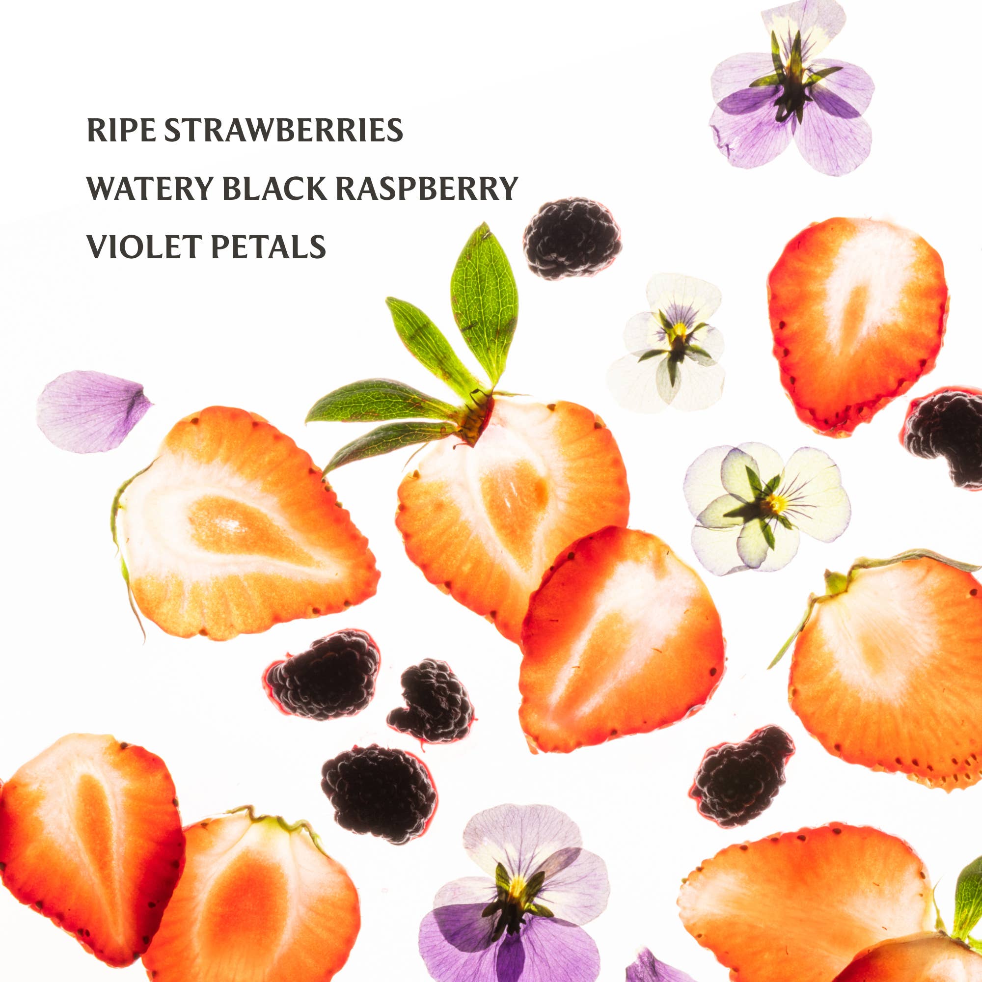 Shop Berry Bliss Power Mist Hydrating Hand Sanitizer- at Ruby Joy Boutique, a Women's Clothing Store in Pickerington, Ohio