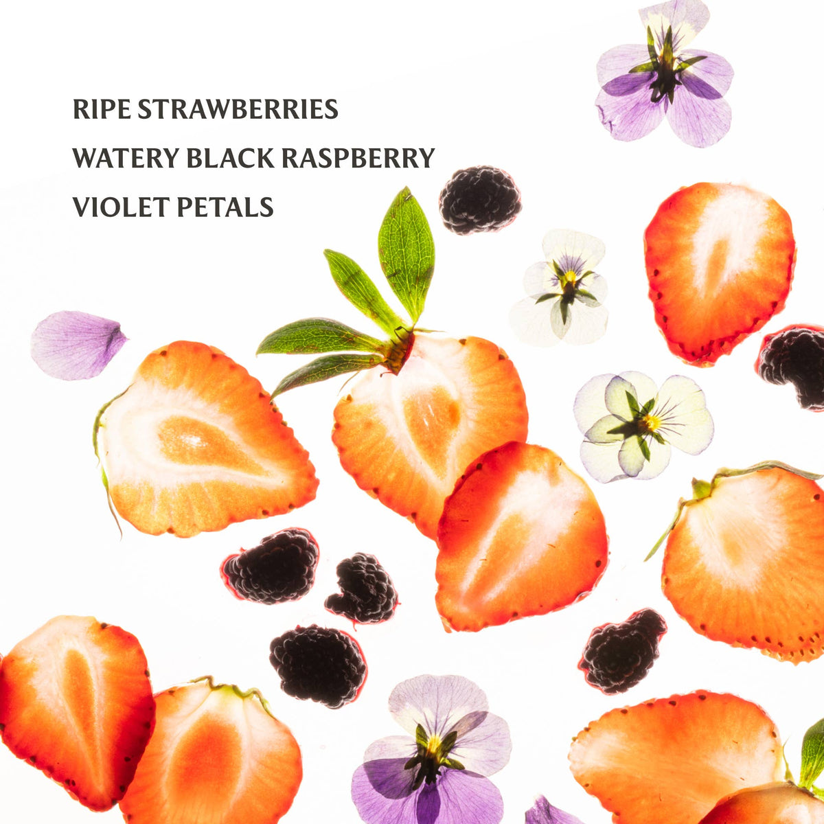 Shop Berry Bliss Power Mist Hydrating Hand Sanitizer- at Ruby Joy Boutique, a Women's Clothing Store in Pickerington, Ohio