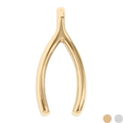 Shop Wishbone Charm- at Ruby Joy Boutique, a Women's Clothing Store in Pickerington, Ohio